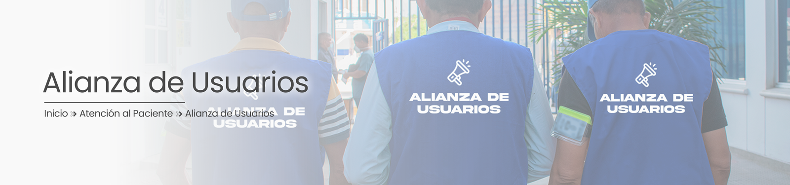 Alianza de Usuarios - Banner Secciones 2025