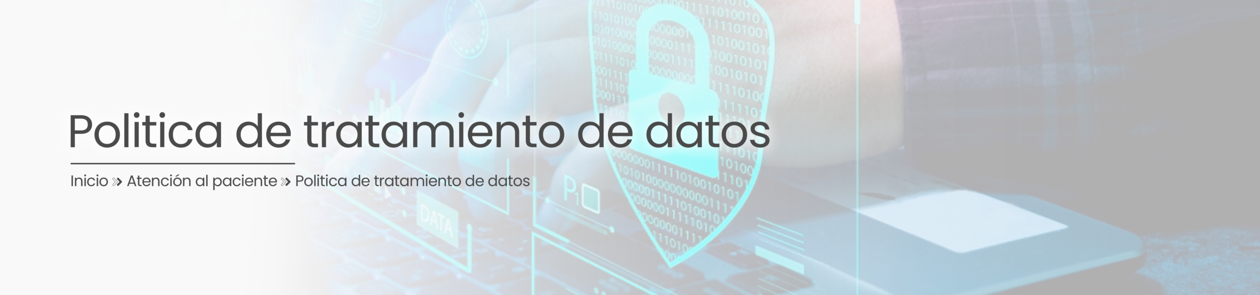 Politica Datos - Banner Secciones 2026