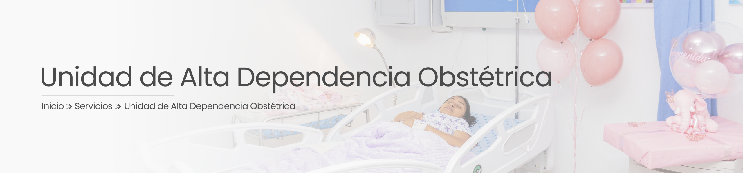 Unidad de Alta Dependencia Obstétrica - Banner Secciones 2026